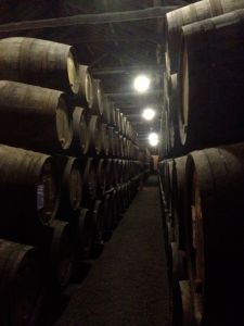 Barrels in the Taylors Port Cellar